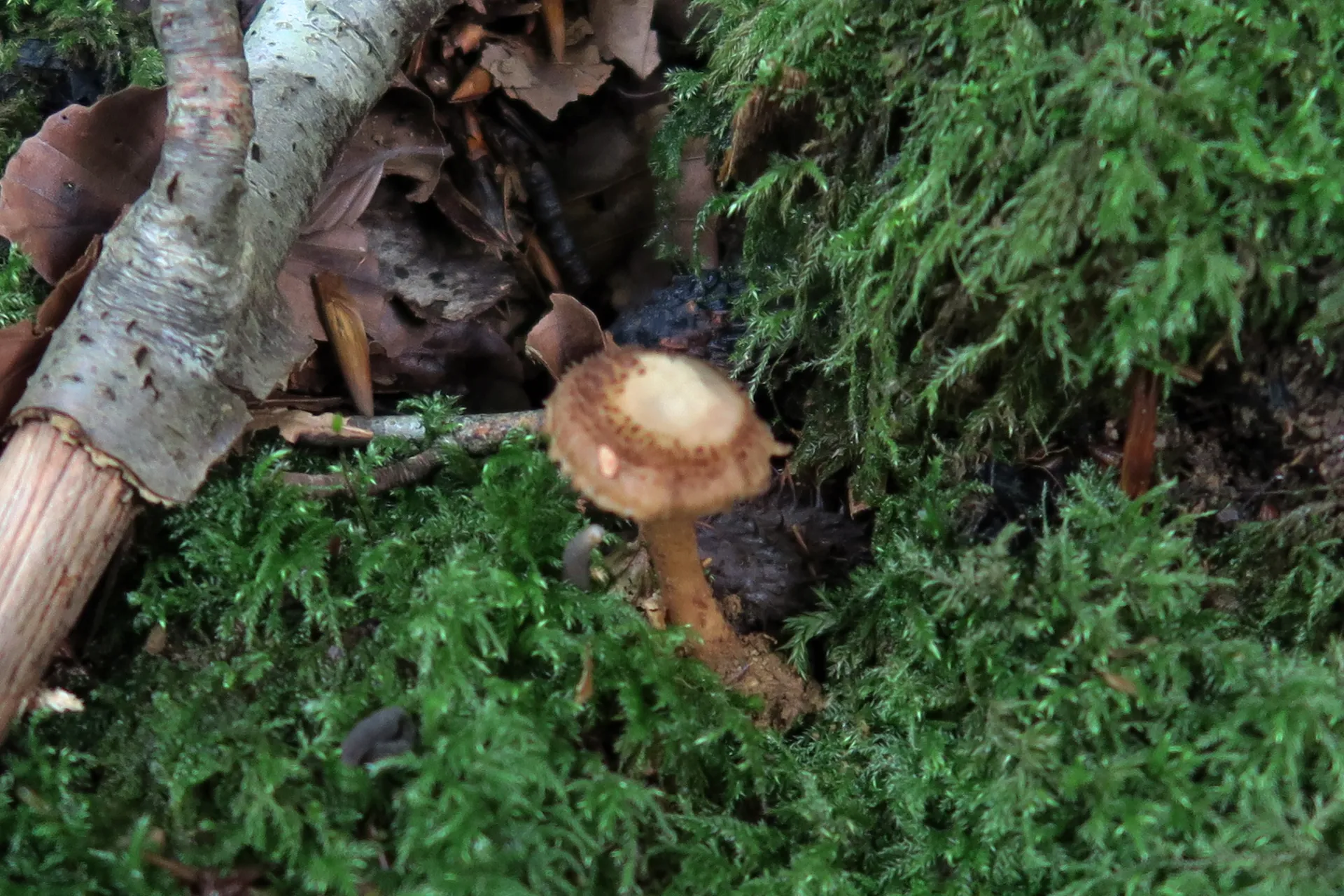 1 -